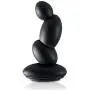 Sir Richards Control Dual P Spot Massager