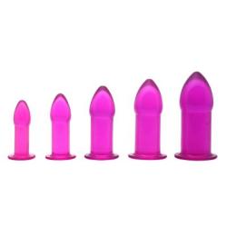 Trinity Vibes 5 Piece Anal Trainer Set, Purple.99 Pound