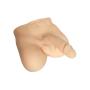 Raycity Silicone Realistic 3D Torso Doll Masturbation Orgasm with Flexible Dildo Penis Cock for Female