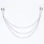 DJKFHIU Women Torture Pussy Clamps Teasing Clamp Clit Pezones BDSM Game Accessories
