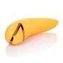 Calexotics California Dreaming Hollywood Hottie, 1 Count Calexotics California Dreaming Hollywood Hottie, 1 Count