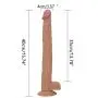 Realistic DîdLos Suction Cup for Women - Great Life Fun Touyunhao