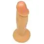 Roxy Sex Toys Anal Dildo for Men & Women 5” Small Anal Butt Plug P Spot and G Spot Realistic Ribbed Penis Head for Beginners Roxy Sex Toys Anal Dildo for Men & Women 5” Small Anal Butt Plug P Spot and G Spot Realistic Ribbed Penis Head for Beginners