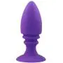 Flosky Silicone Amal Plug Toys with 10 Vibrantion Modes Mini Vibrarator Stimulation for Women Men