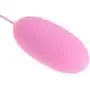Qhufnng Silicone Egg Powerful Quiet Multispeed 20 Frequency Wireless and Travel Friendly Adult Toys for Women Portable Pink Qhufnng Silicone Egg Powerful Quiet Multispeed 20 Frequency Wireless and Travel Friendly Adult Toys for Women Portable Pink
