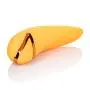 Calexotics California Dreaming Hollywood Hottie, 1 Count Calexotics California Dreaming Hollywood Hottie, 1 Count