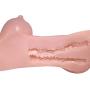 FW Lifesize Female Silicone Torso Love Toys for Man Funny Adult Toy Lifelike