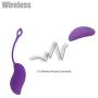 Silicone Vibrating Bullet Vibrantor Egg for Women and Couple