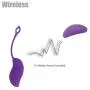 Silicone Vibrating Bullet Vibrantor Egg for Women and Couple