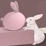 Sucking Rabbit Toys-USB Charging Silent Waterproof (Purple) Sucking Rabbit Toys-USB Charging Silent Waterproof (Purple)