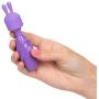 Calexotics SE-9730-50-3 Dr Laura Berman Olivia Rechargeable Massager Kit Adult Pocket Vibrator Toys for Couples, Purple