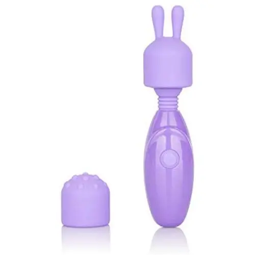 Calexotics SE-9730-50-3 Dr Laura Berman Olivia Rechargeable Massager Kit Adult Pocket Vibrator Toys for Couples, Purple Calexotics SE-9730-50-3 Dr Laura Berman Olivia Rechargeable Massager Kit Adult Pocket Vibrator Toys for Couples, Purple