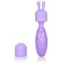 Calexotics SE-9730-50-3 Dr Laura Berman Olivia Rechargeable Massager Kit Adult Pocket Vibrator Toys for Couples, Purple