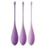 Pipedream Products Fantasy for Her Kegel Train-Her Set, Purple Pipedream Products Fantasy for Her Kegel Train-Her Set, Purple