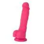 Naughty Cock Silicone Dildo - Realistic, Suction Cup - Sex Toy for Beginners, Vaginal, Anal, and G-Spot - 6.5 Inch (Pink) Naughty Cock Silicone Dildo - Realistic, Suction Cup - Sex Toy for Beginners, Vaginal, Anal, and G-Spot - 6.5 Inch (Pink)
