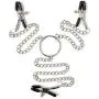 Chip Clips Stainless Steel Clips Large for Kitchen Food Bread Snack Cereal Bags Documents Potato