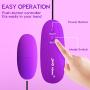 Sexy Slave Wired Remote Control 12-Frequency Bullet Vibrators - Waterproof Vibrating Love Egg (Pack of 2, Black and Purple)