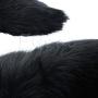 EA-STONE Stainless Steel Bǜtt-Plǚg,Funny Love Faux Fox Tail Butt Backyard Stopper,Cosplay Costumes for Women
