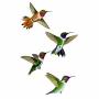 WYUEN 12 PCS Hummingbirds Temporary Tattoo Sticker for Women Men Fashion Body Art Adults Waterproof Hand Fake Tatoo 9.8X6cm (FW12-24)