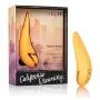 Calexotics California Dreaming Hollywood Hottie, 1 Count Calexotics California Dreaming Hollywood Hottie, 1 Count