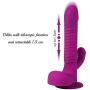 Rabbit Vibrator Massager Viberate Adult Toy for Clitoris Stimulation, OHYER Thrusting Dildo Vibrator Clit Stimulator with 6 Vibration Modes Power Suction Cup Adult Sex Toys for Couples and Women