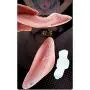 Perfect Size Wireless Remote Control Vibration Wearable Toys for Women Male Powerful Electric Stimulation Massage Neck, Shoulder, Back and Muscle Pain Waterproof Clǐt-Oral Sǜcker & Vibratio psbibra Perfect Size Wireless Remote Control Vibration Wearable Toys for Women Male Powerful Electric Stimulation Massage Neck, Shoulder, Back and Muscle Pain Waterproof Clǐt-Oral Sǜcker & Vibratio psbibra