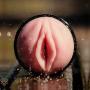 Fleshlight Tight Texture | Vortex Masturbator | Hyper Simulating Male Toy