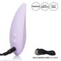 Calexotics Dr Laura Berman Carly Pinpoint Silicone Palm Size Waterproof Compact Vibrator, Purple