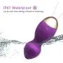 Bullet Vibrator SEXYSHEEP Waterproof Vibrating Egg Sex Toys for Women in Silicone s Wireless USB Rechargeable Vibrator with 10 Modes (Purple)