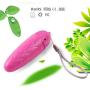 IKIV Mini Bullet Love Egg for Women and Couple