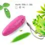 IKIV Mini Bullet Love Egg for Women and Couple IKIV Mini Bullet Love Egg for Women and Couple