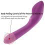 eLife Silicone Vibrator 10 Modes G-spot Vibration Clitoral Stimulate Massager Masturbation for Women (Purple)