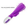Rabbit Vibrator Rechargeable Multi Speed Vagina Clitoris Stimulator Adult Sex Toy for Women