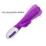 Rabbit Vibrator Rechargeable Multi Speed Vagina Clitoris Stimulator Adult Sex Toy for Women Rabbit Vibrator Rechargeable Multi Speed Vagina Clitoris Stimulator Adult Sex Toy for Women