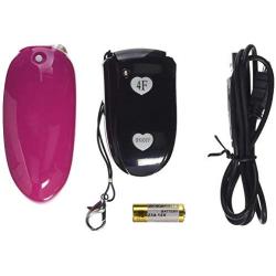 Eve 4 Function Remote Control Panty Vibe