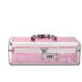Small Lockable Vibe Case (Pink) (Pink)