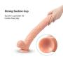 ZJYSMGS1018 Different Enjoyment16.93in Ď-Dîld`ɔ Adult Huge Hands Free Cock Health Bouncy Massager ZJYSMGS1018
