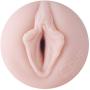 Fleshlight ASA Akira Dragon Pleasure Pack | Product Care Plus Shower Mount