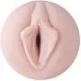 Fleshlight ASA Akira Dragon Pleasure Pack | Product Care Plus Shower Mount Fleshlight ASA Akira Dragon Pleasure Pack | Product Care Plus Shower Mount