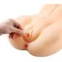 SINLOLI Love Doll Sex Doll Torso,Premium Sex Toys (Female Love Doll, Flesh) SINLOLI Love Doll Sex Doll Torso,Premium Sex Toys (Female Love Doll, Flesh)
