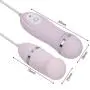 Remote Control 10 Speeds Silicone Vibrating Egg Powerful Vibrator Clitoris Stimulator Toys for Women