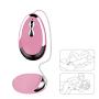 Romi Silicone Eggs 10-frequency Vibrations Wired Remote Control G-spot Vagina and Clitoris Stimulation Female Masturbation or Couples Sex Toys (Pink)