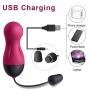 Sexy Slave Waterproof 10X Rechargeable Wireless Remote Bullet Vibrator - Vibrating Egg, Rose and Black