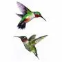 WYUEN 12 PCS Hummingbirds Temporary Tattoo Sticker for Women Men Fashion Body Art Adults Waterproof Hand Fake Tatoo 9.8X6cm (FW12-24)