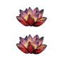 SanerLian Dandelion Lotus Flowers Temporary Tattoo Sticker Rose Sunflowers Watercolor Waterproof Women Girls Hand Arm Chest Back Body Art 10.5X6cm Set of 12 (Design1)