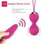 Minc Kegel Exerciser with Remote Control & Pelvic Floor Exercises & Ben Wa Balls Kegel Ball Minc Kegel Exerciser with Remote Control & Pelvic Floor Exercises & Ben Wa Balls Kegel Ball