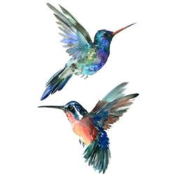 WYUEN 12 PCS Hummingbirds Temporary Tattoo Sticker for Women Men Fashion Body Art Adults Waterproof Hand Fake Tatoo 9.8X6cm (FW12-13)