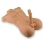 Male Body Realistic Lifelike Frontal Love Doll with Tight Anal Entry Male Body Realistic Lifelike Frontal Love Doll with Tight Anal Entry