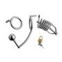 Master Series Condemned Penetration Cage with Anal Insertion