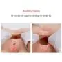 Y-NOT 3D Realistic Silicone Half Sex Doll with Legs, Ass and Feet for Vaginal Anal Sex, Lifelike Adult Toy Male Masturbator